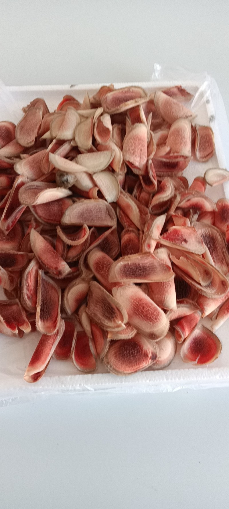【梅花鹿茸】鲜货，高质量。
