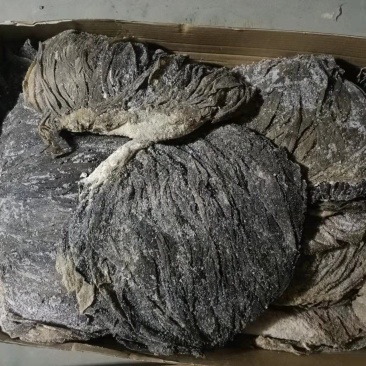 牛肚，盐毛肚毛肚百叶