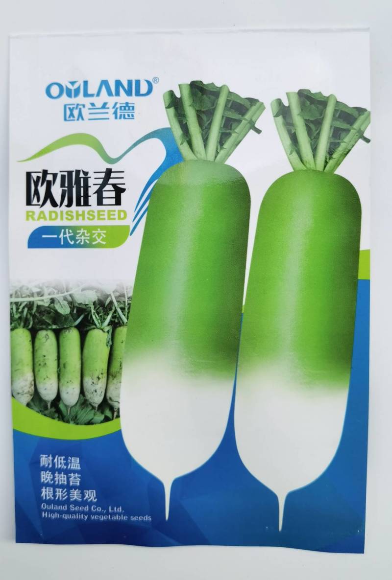 【耐寒耐抽苔】欧雅春春季天播萝卜种子耐低温青白皮反季节