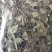 【文斌药业】络石藤统货干净无杂质地道药材