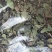 【文斌药业】络石藤统货干净无杂质地道药材