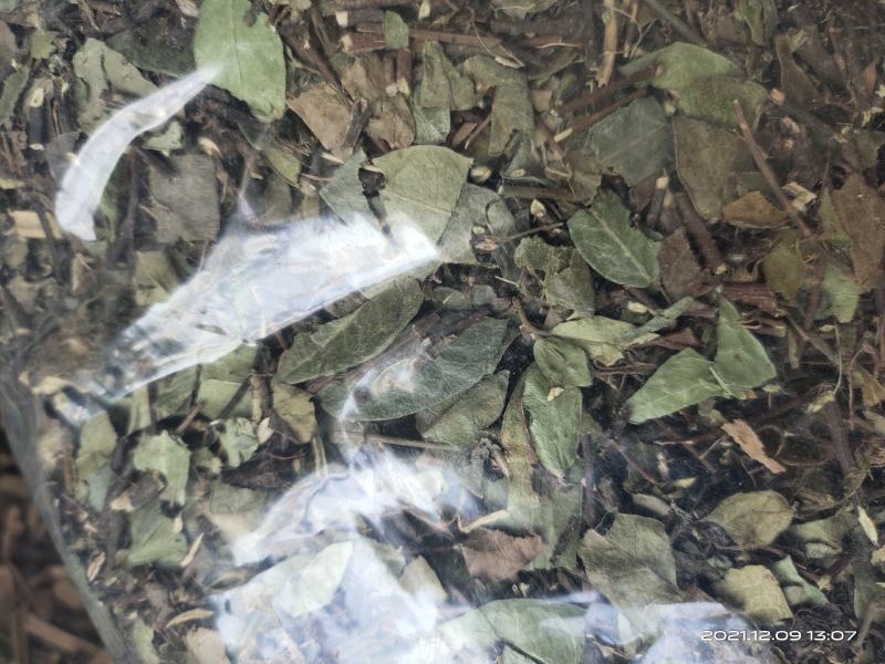 【文斌药业】络石藤统货干净无杂质地道药材