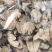 【文斌药业】金荞麦大统货极速发货地道药材