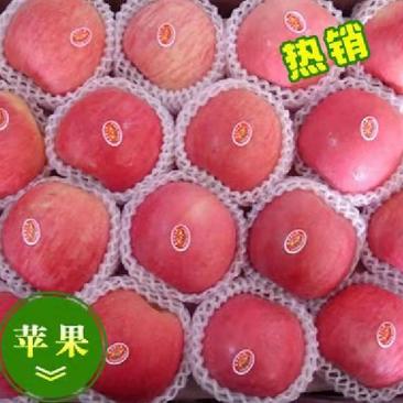 红富士苹果产地口感清脆甜【电商团购【】全国发货