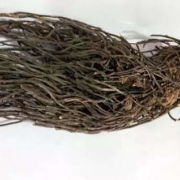 大量出售威灵仙水洗货