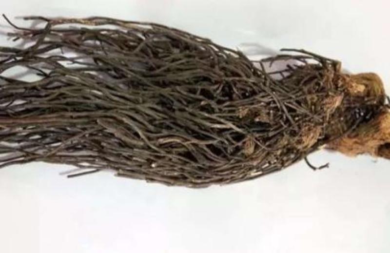 大量出售威灵仙水洗货