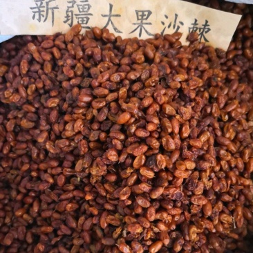 新疆通货沙棘果新疆大果各种规格干货