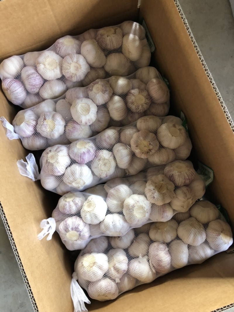 金乡大蒜加工厂，4.5，5.0，5.5，6.0规格。