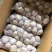 金乡大蒜加工厂，4.5，5.0，5.5，6.0规格。