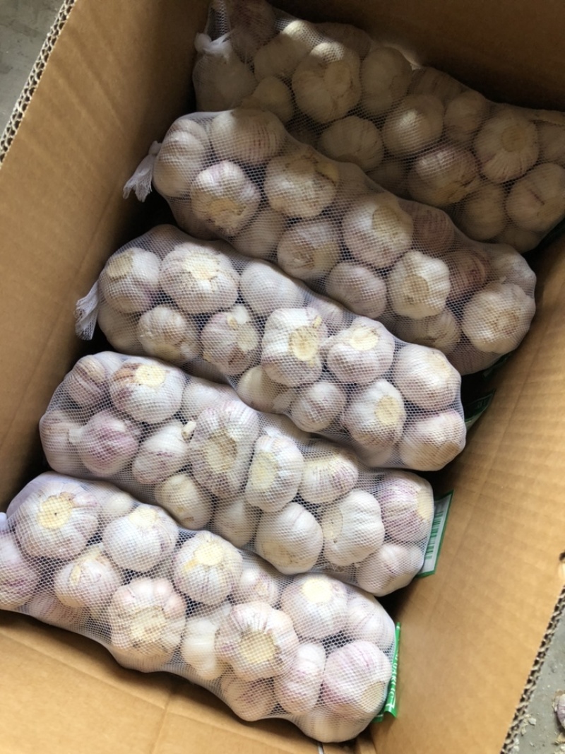 金乡大蒜加工厂，4.5，5.0，5.5，6.0规格。