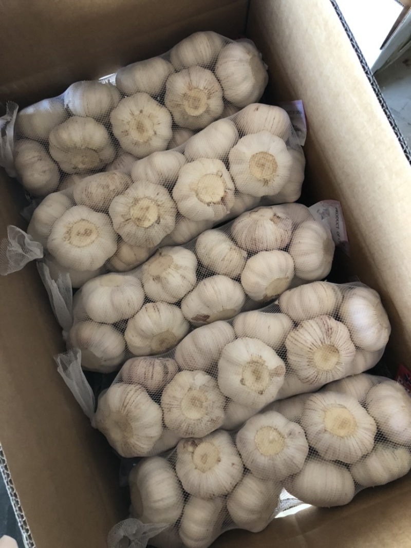 金乡大蒜加工厂，4.5，5.0，5.5，6.0规格。