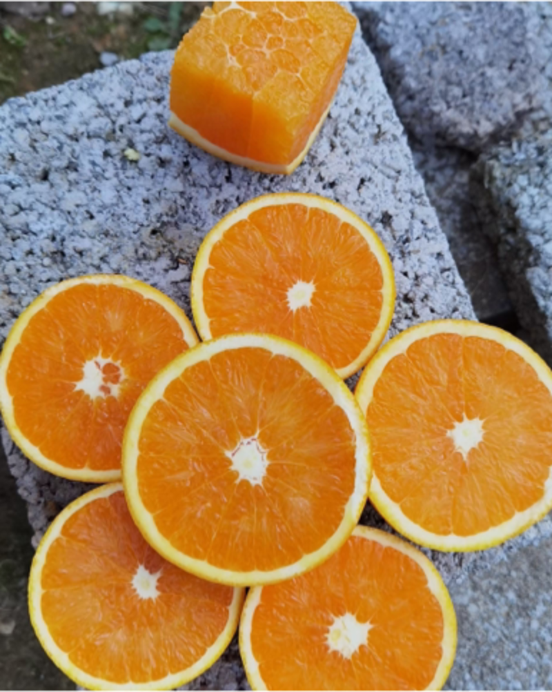湖北普橙脐橙农户一手货源物美廉价产地批发
