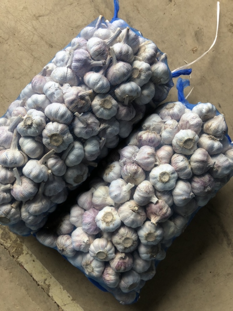 金乡大蒜加工厂，4.5，5.0，5.5，6.0规格。