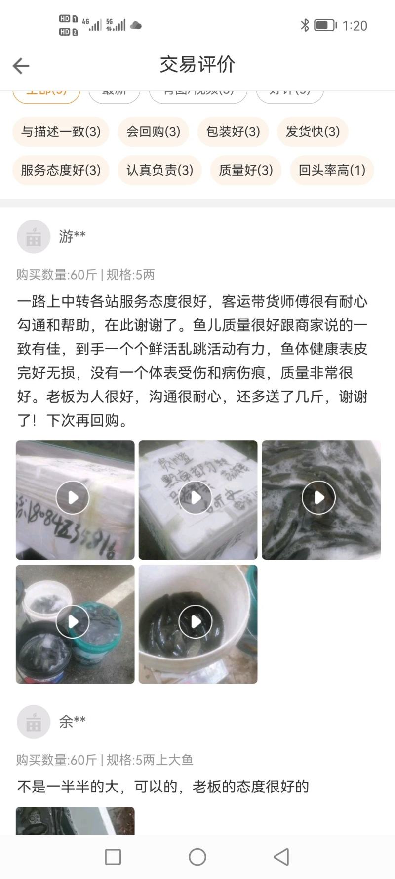 七星鱼批发，全年供应，质量稳定，期待与你合作共赢