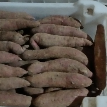 斤半以下电商货大量出售