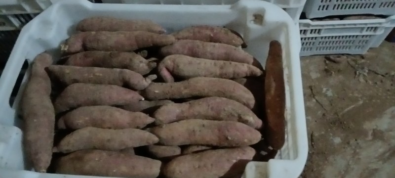 斤半以下电商货大量出售