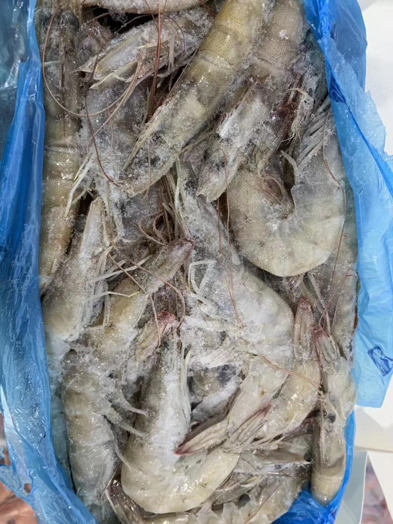 南美对白虾，青虾，欧玛莎水冻40斤，规格齐全，欢迎采购