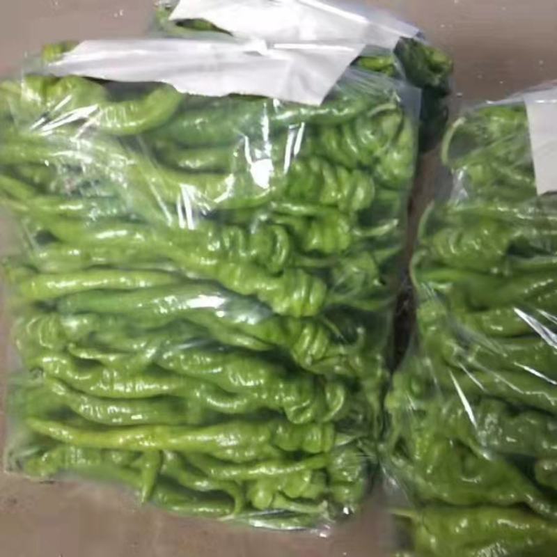 热销精品螺丝椒大量批发发往全国产地直发