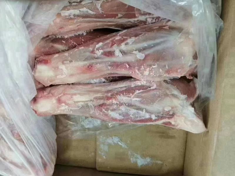 内蒙羔羊后棒可加工切块，炖锅专用肉真多羊蝎子替代品价格合