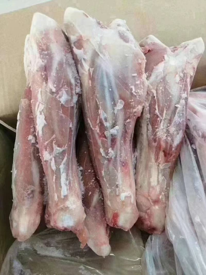 内蒙羔羊后棒可加工切块，炖锅专用肉真多羊蝎子替代品价格合