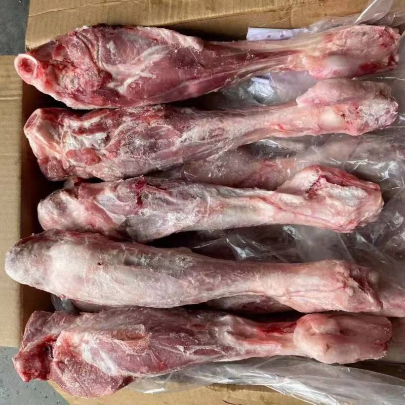 内蒙羔羊后棒可加工切块，炖锅专用肉真多羊蝎子替代品价格合