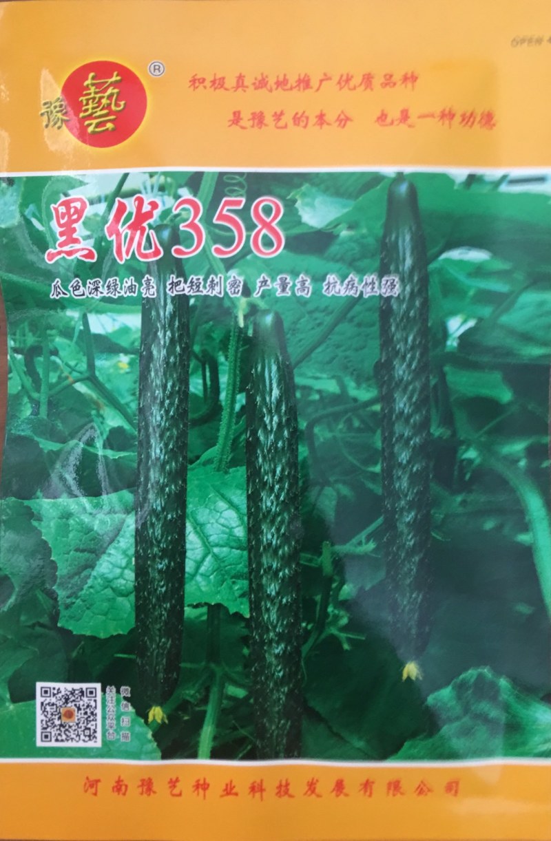 豫艺高产黄瓜种子颜色深产量高抗病黄瓜种子大棚专用