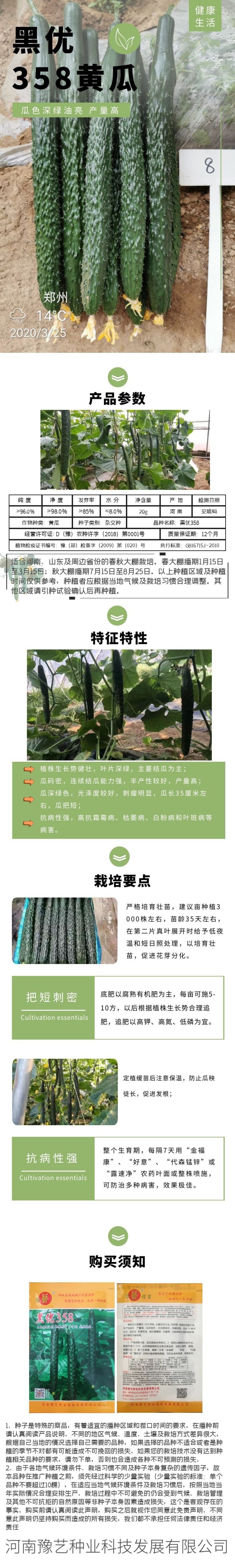 豫艺高产黄瓜种子颜色深产量高抗病黄瓜种子大棚专用