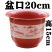 特大号塑料花盆包邮批发带托盘仿瓷绿萝果树盆栽多肉君子