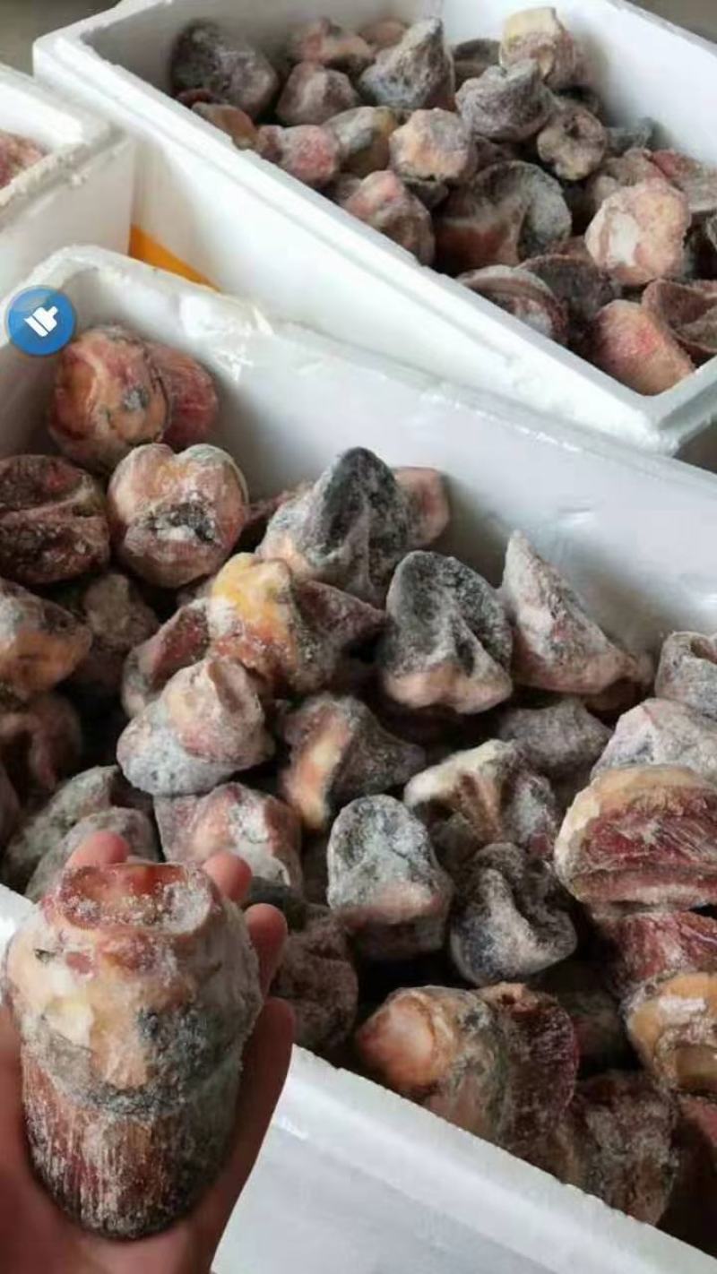 短蹄！驴踢马踢货鲜！干净！诚信经营！现货发出！发全国