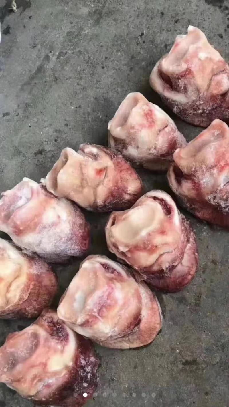短蹄！驴踢马踢货鲜！干净！诚信经营！现货发出！发全国