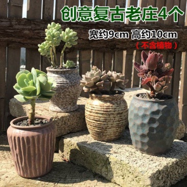 包邮多肉老桩花盆大小口径陶瓷粗陶透气创意大号多肉植物花盆