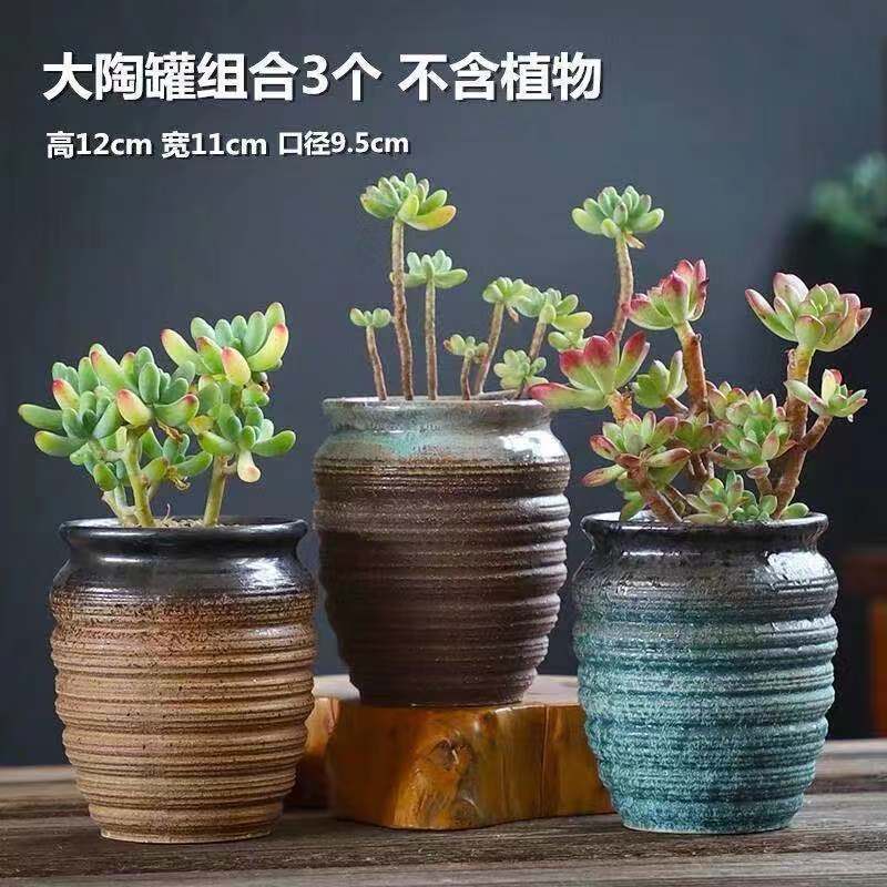 包邮多肉老桩花盆大小口径陶瓷粗陶透气创意大号多肉植物花盆