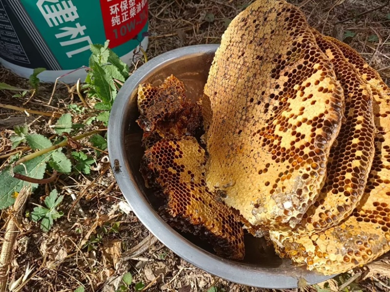 蜂蜜云南蜂蜜土蜂蜜结晶冬蜜纯正野生1斤包邮