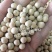 甜豌豆种子水果型可生吃菜豌白豌豆可芽苗菜豌豆尖四季可播