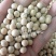 甜豌豆种子水果型可生吃菜豌白豌豆可芽苗菜豌豆尖四季可播
