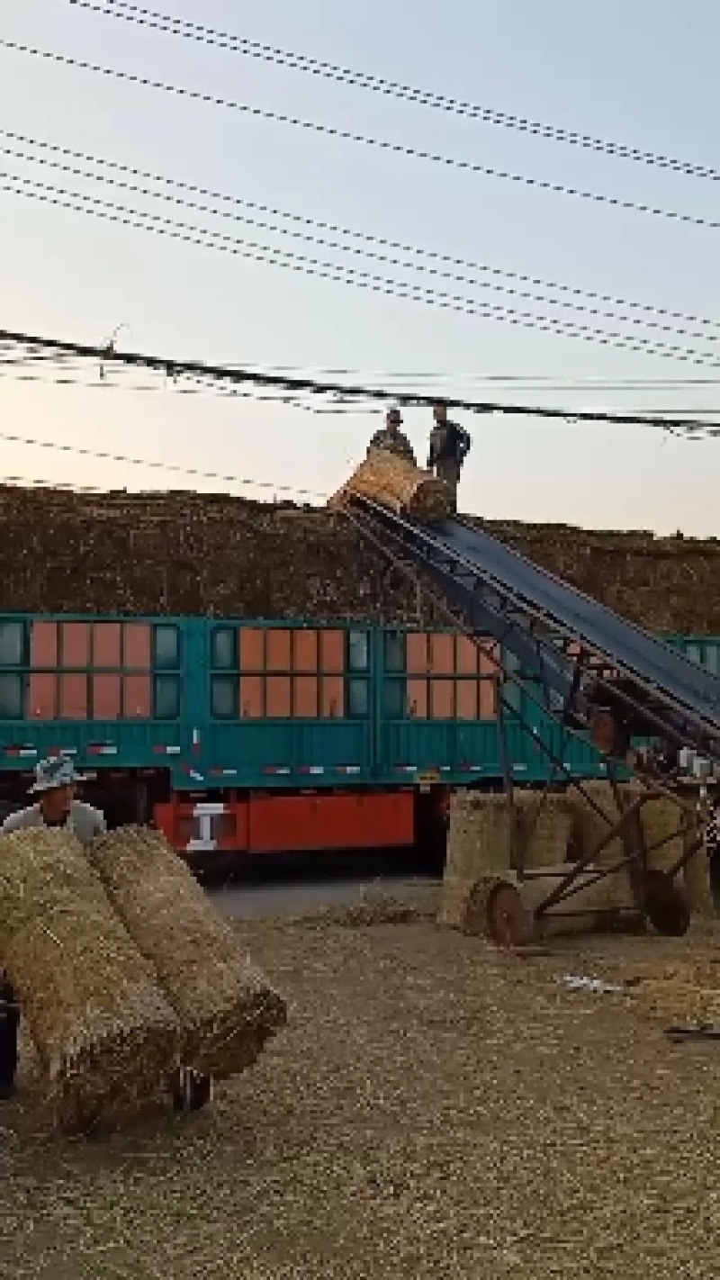 稻草苫子草绳！