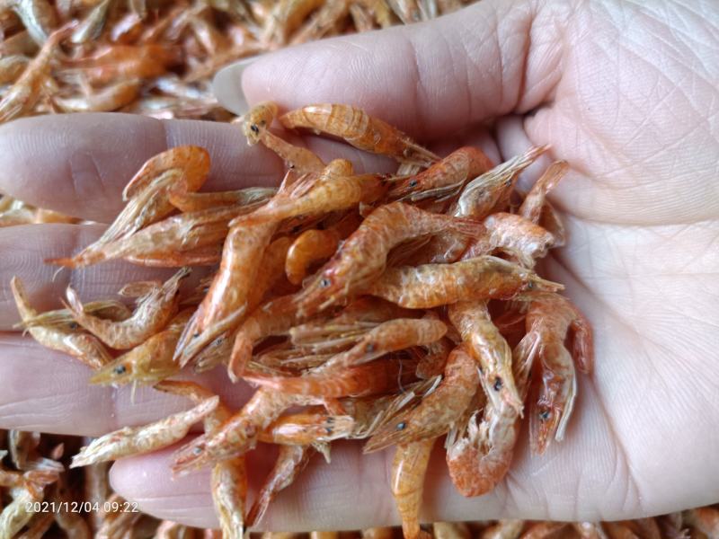 大量批发河虾虾干虾米无盐全干烤虾烤红虾中虾