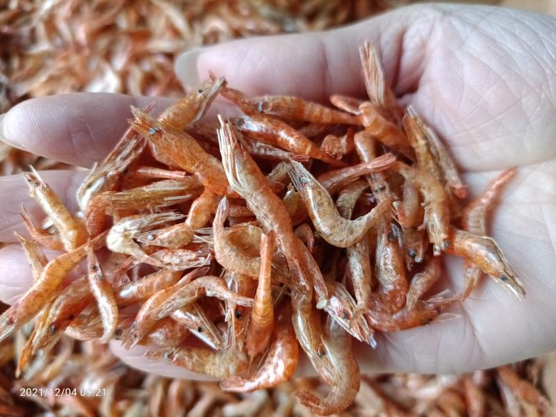 大量批发河虾虾干虾米无盐全干烤虾烤红虾中虾
