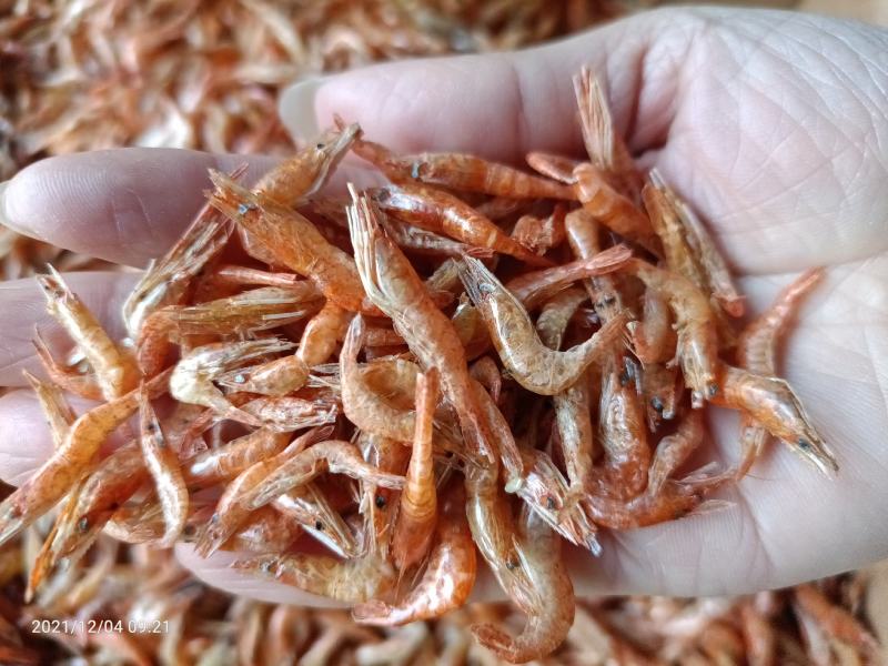 大量批发河虾虾干虾米无盐全干烤虾烤红虾中虾