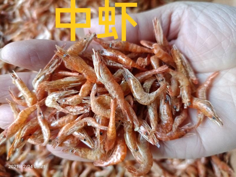 大量批发河虾虾干虾米无盐全干烤虾烤红虾中虾