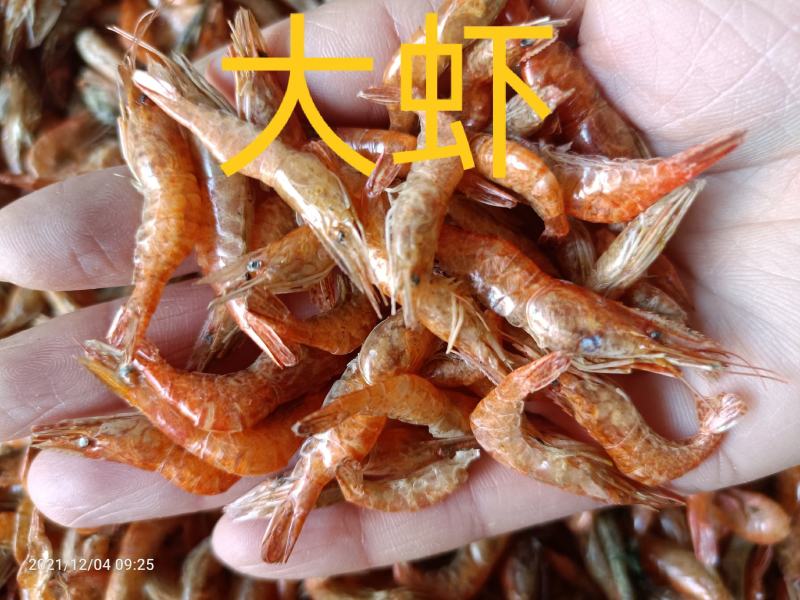 大量批发河虾虾干虾米无盐全干烤虾烤红虾中虾