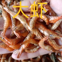 烤虾大虾红虾烤箱烤干颜色红亮大小均匀干净
