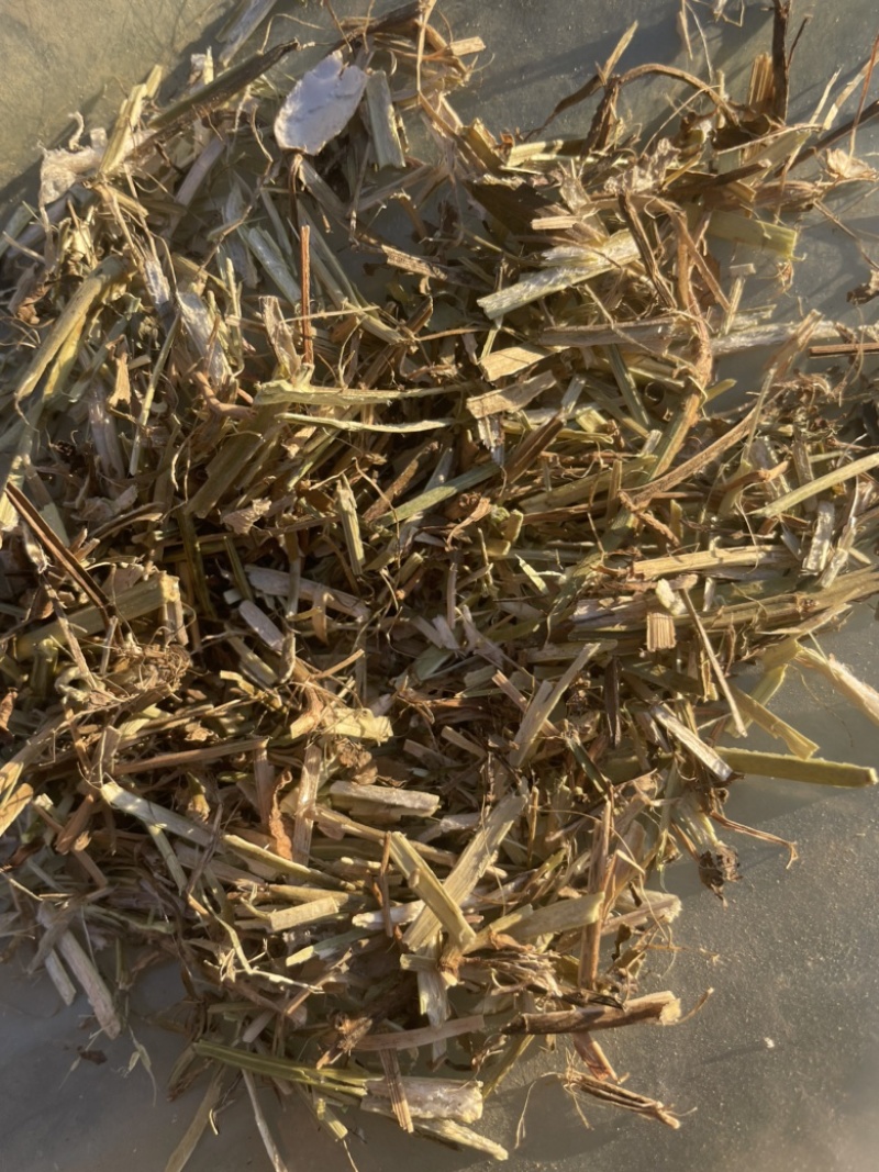 【花生秧】草料饲料原料干货无菌无霉大量供应欢迎老板联系