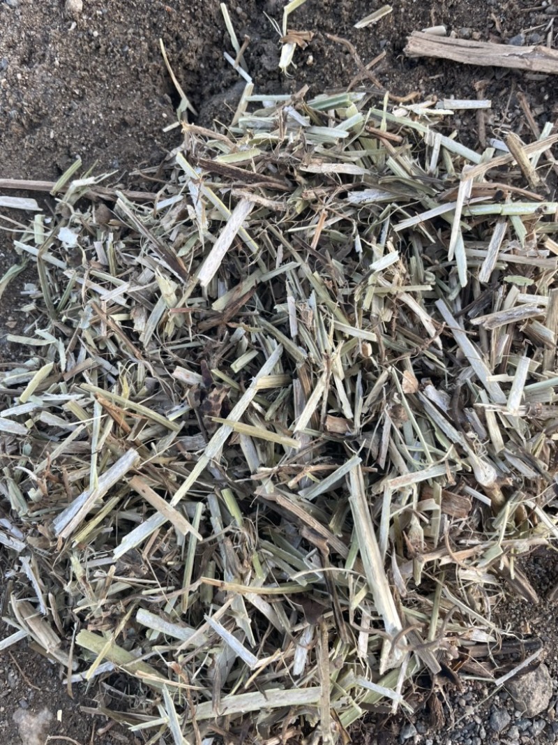 【花生秧】草料饲料原料干货无菌无霉大量供应欢迎老板联系