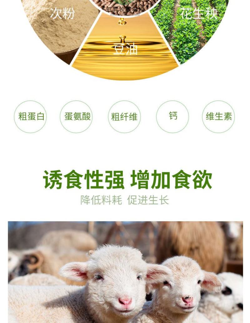 羊羔开口料羊牛育肥料母羊产奶养殖场专用80斤厂家直销全国