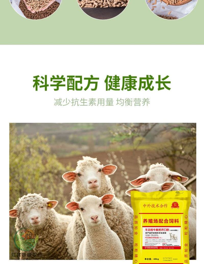 羊羔开口料羊牛育肥料母羊产奶养殖场专用80斤厂家直销全国