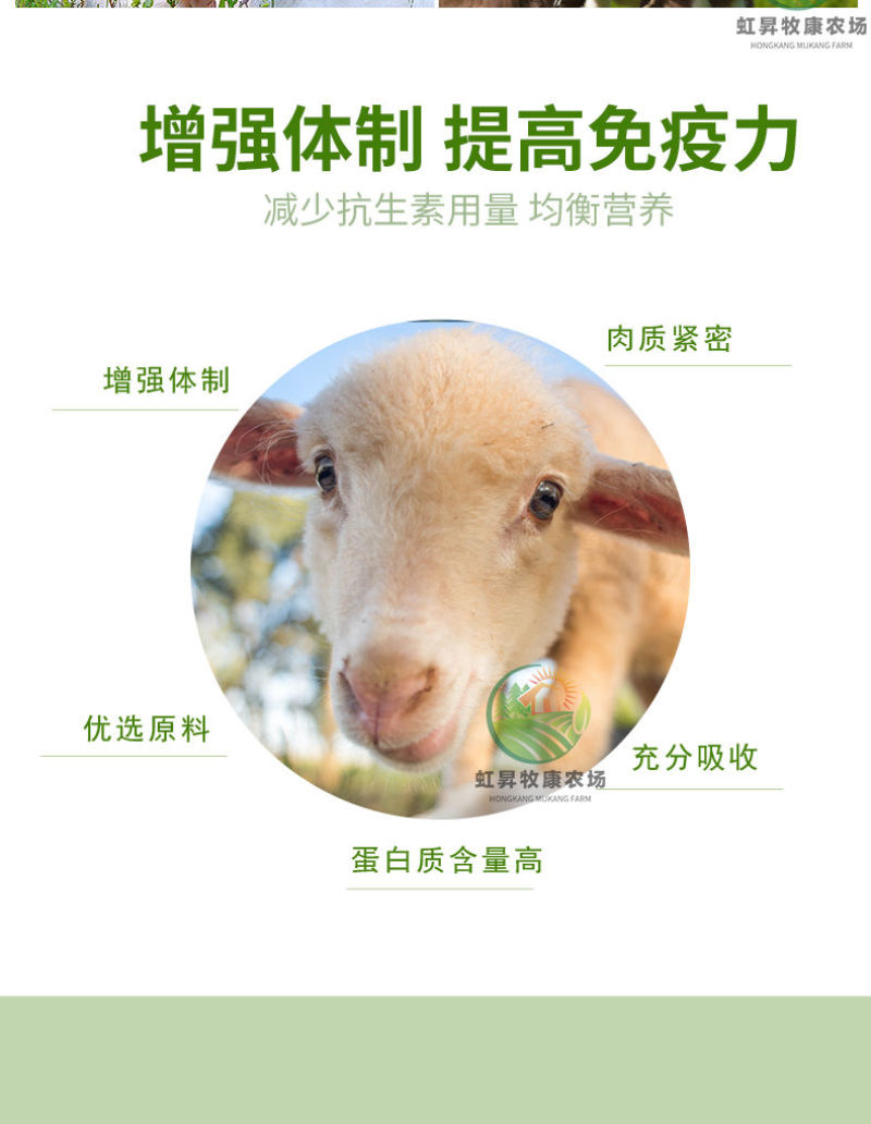 羊羔开口料羊牛育肥料母羊产奶养殖场专用80斤厂家直销全国