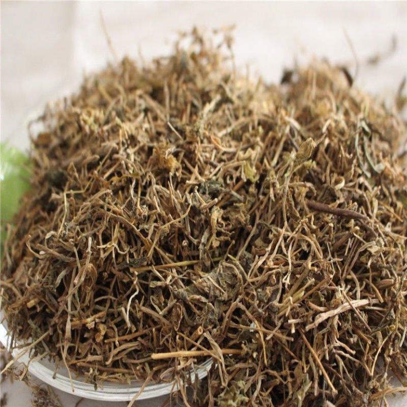 鹅肠草繁缕草鹅儿肠鸡儿肠鸡肠草农产品鹅耳伸