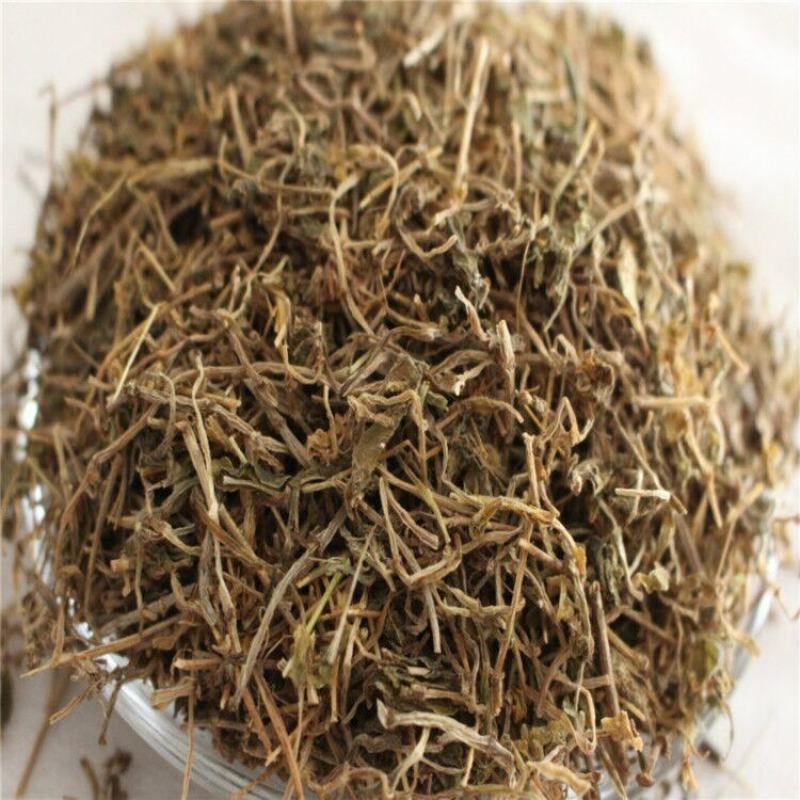 鹅肠草繁缕草鹅儿肠鸡儿肠鸡肠草农产品鹅耳伸