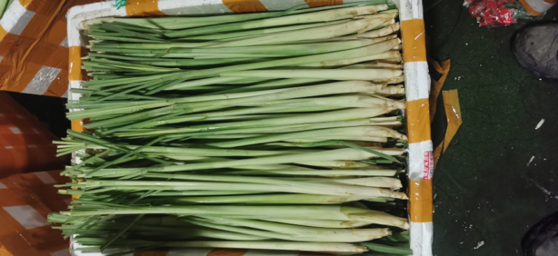 香茅草，质量优、量大有优惠够大条，诚信经营。